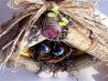 Bird House