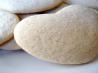 National Sugar Cookie Day