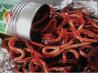 Halloween Worms