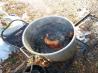 Deep-Frizzled Turkey