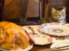 Unattended Turkey